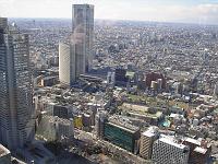 070308_tmb sodra utsikt (5) Utsikt frn sdra tornet i Tokyo metropolitan building
